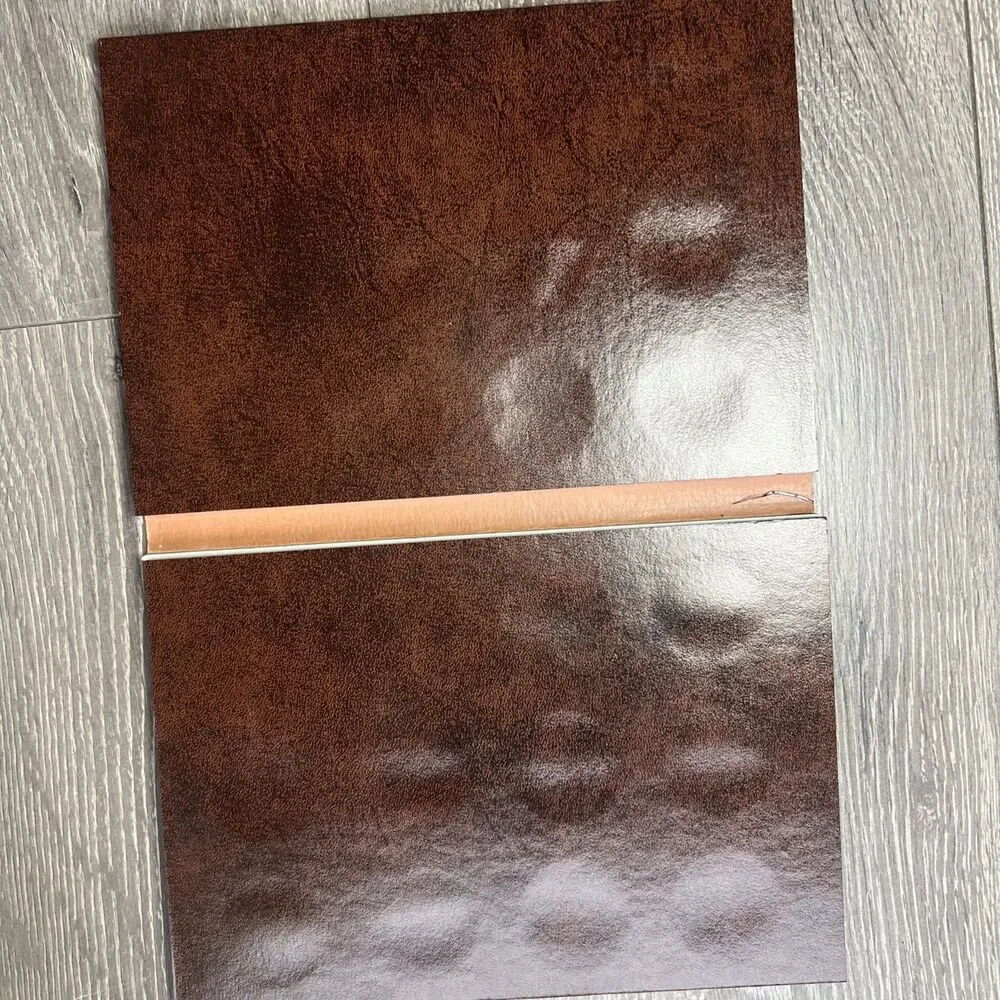 DANSCO Silver Dollar 1878-1890 Folder No Coins